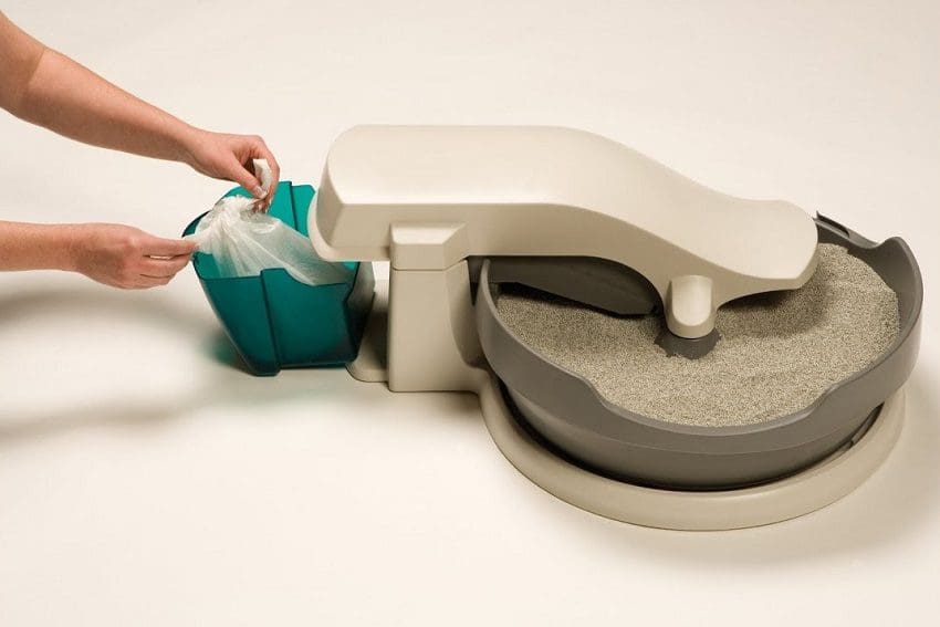 How to Clean a Cat Litter Box Effectively: The Best Ways 1 How to Clean a Cat Litter Box Effectively: The Best Ways