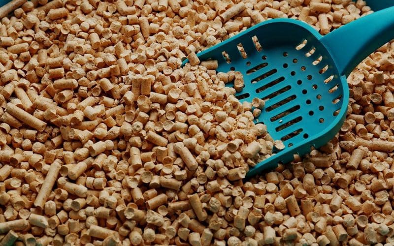 using cat litter scoop