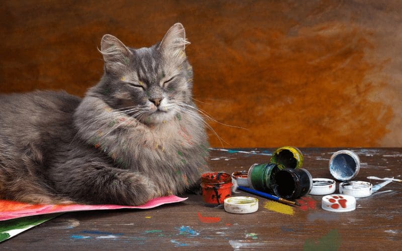 cat painting