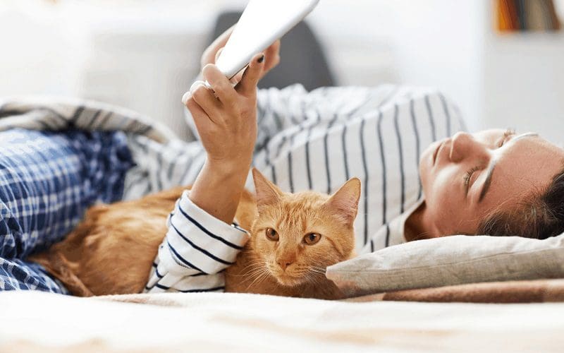 cat staying close to owner