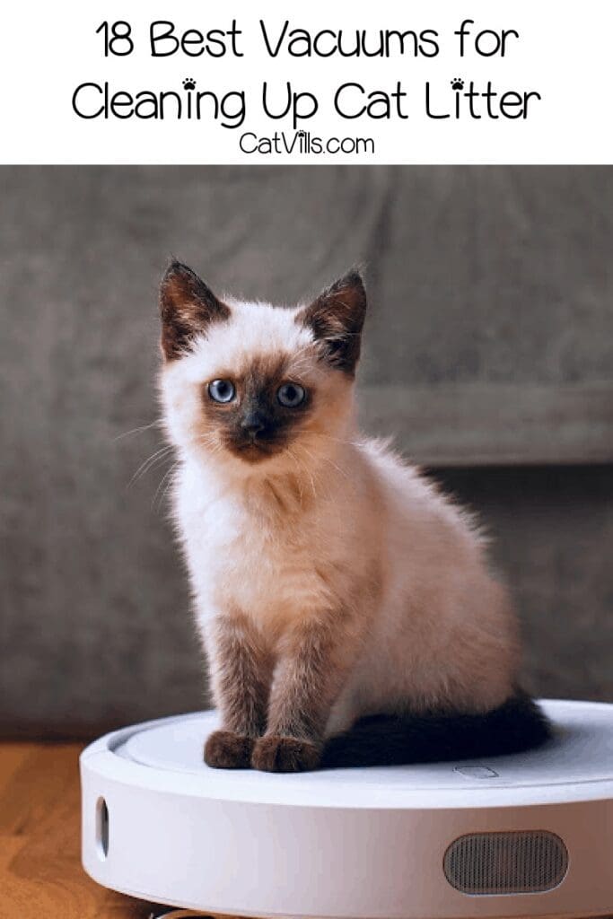 vacuums for cat litter