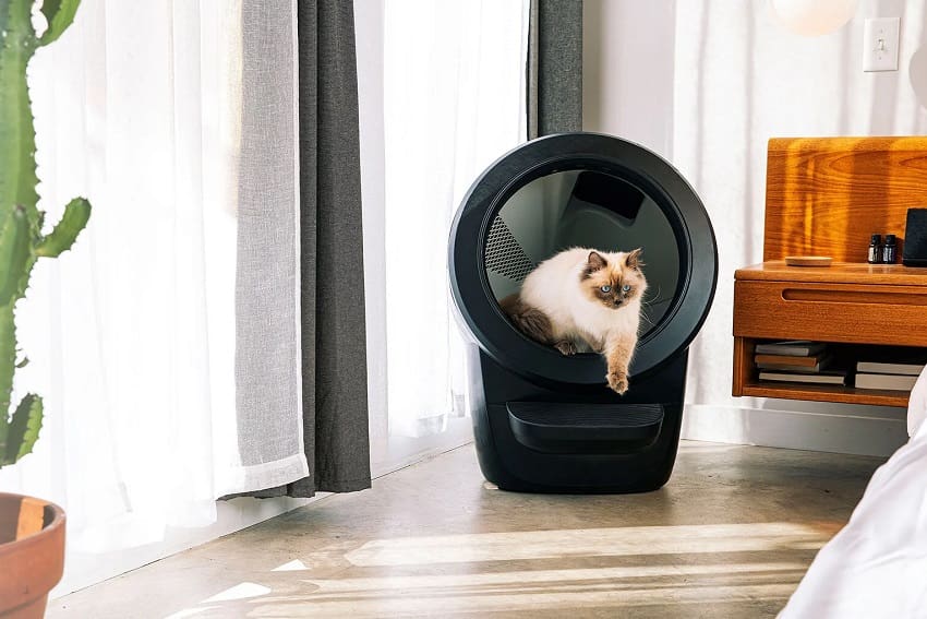 Whisker Litter Robot 4 Review: The Ultimate Solution