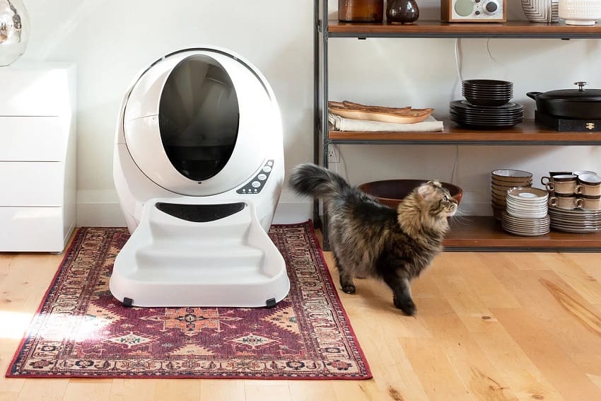 6 Litter-Robot Accessories Your Furry Friend Will Love