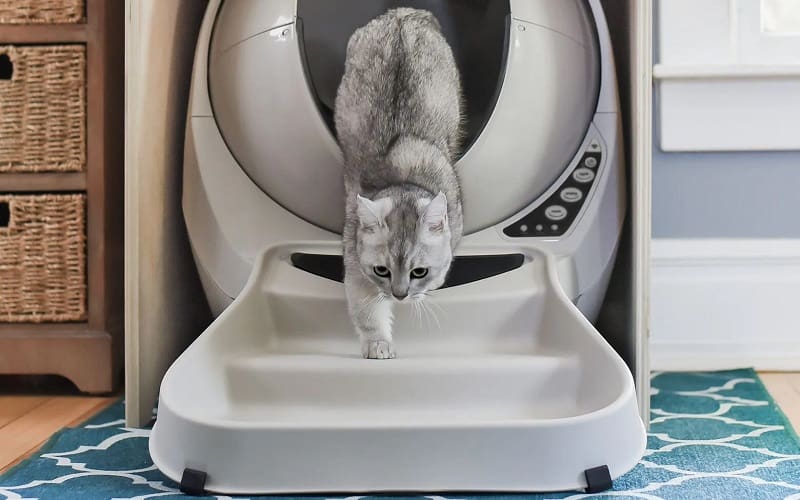 ramp for litter robot