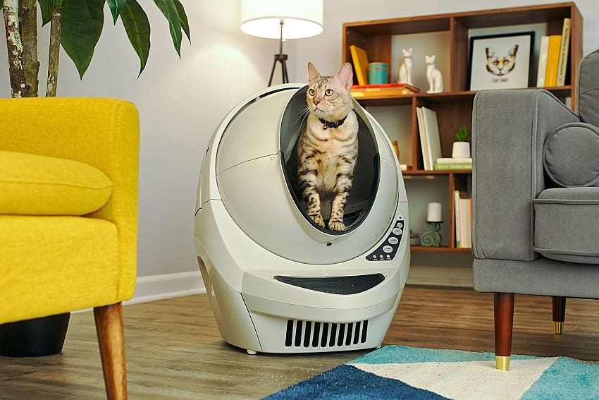 10 Surprising Reasons Why Your Litter-Robot Smells Bad 1 10 Surprising Reasons Why Your Litter-Robot Smells Bad