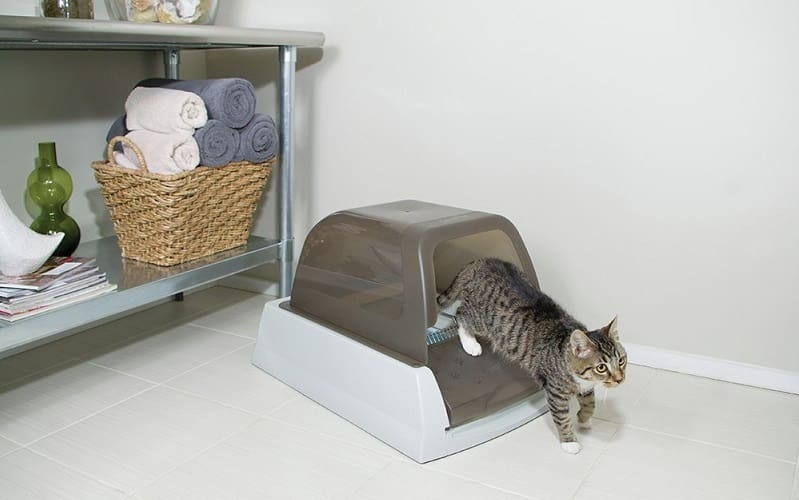 petsafe automatic litter box