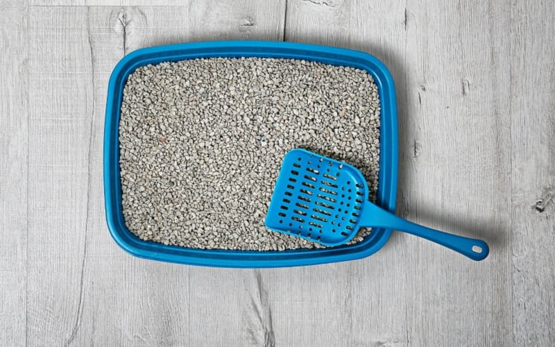 How Much Does Cat Litter Cost? A Complete Guide 2 clumping cat litter