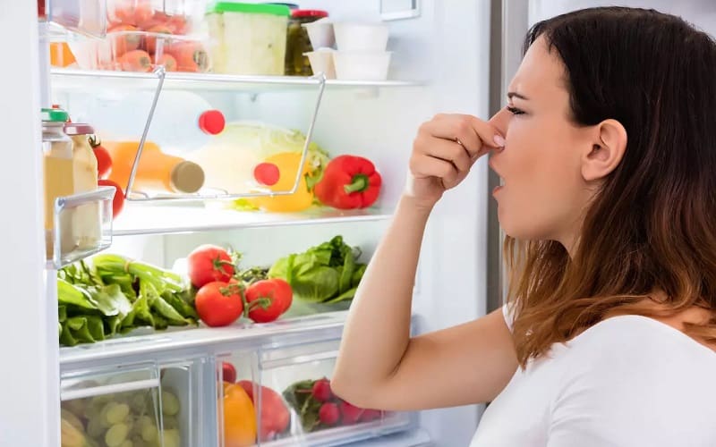 using cat litter for refrigerator smell