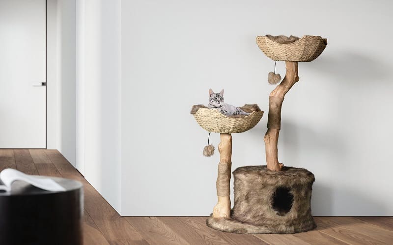 cat in wood cat tree
