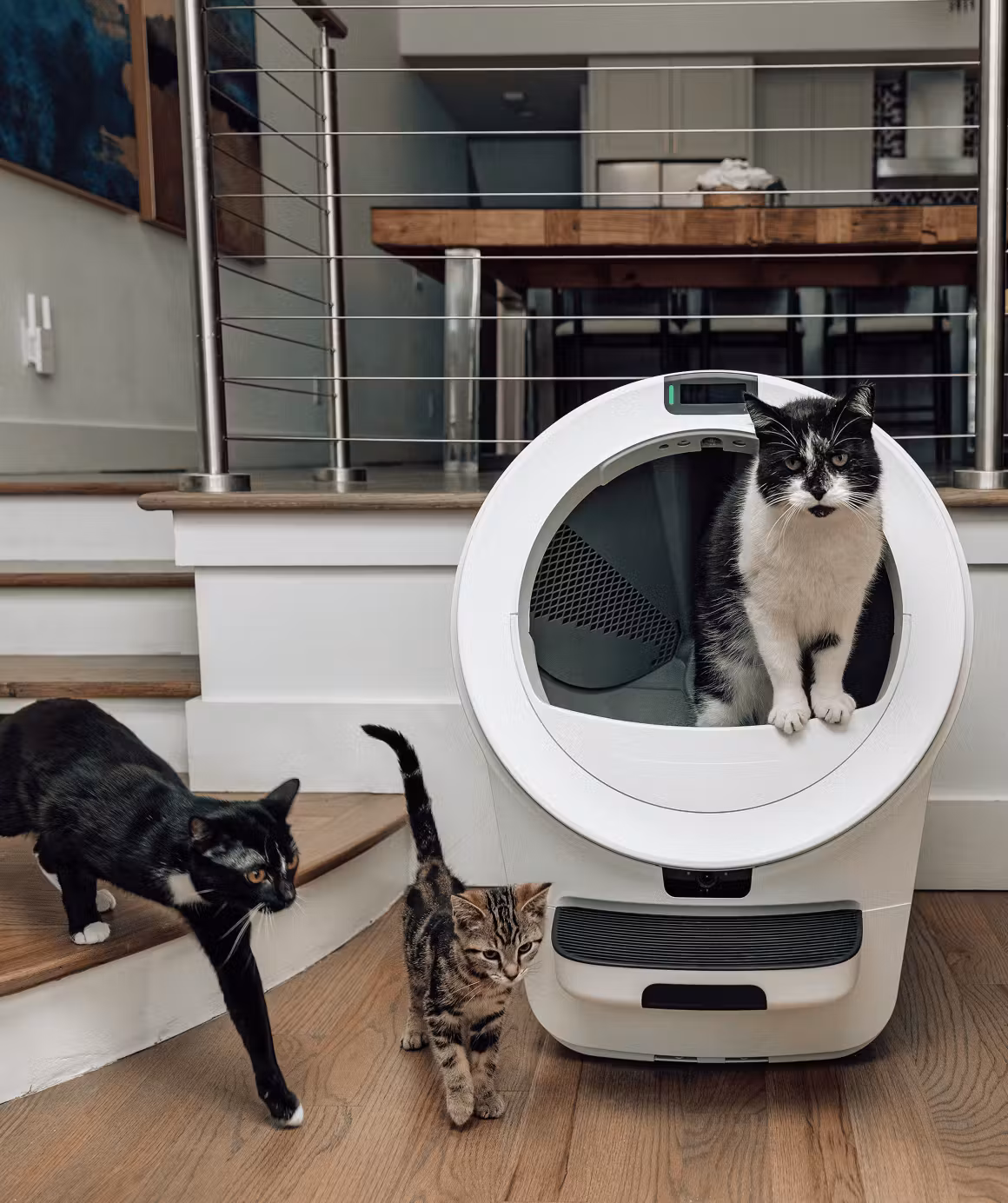 Litter-Robot&reg; 5 Pro