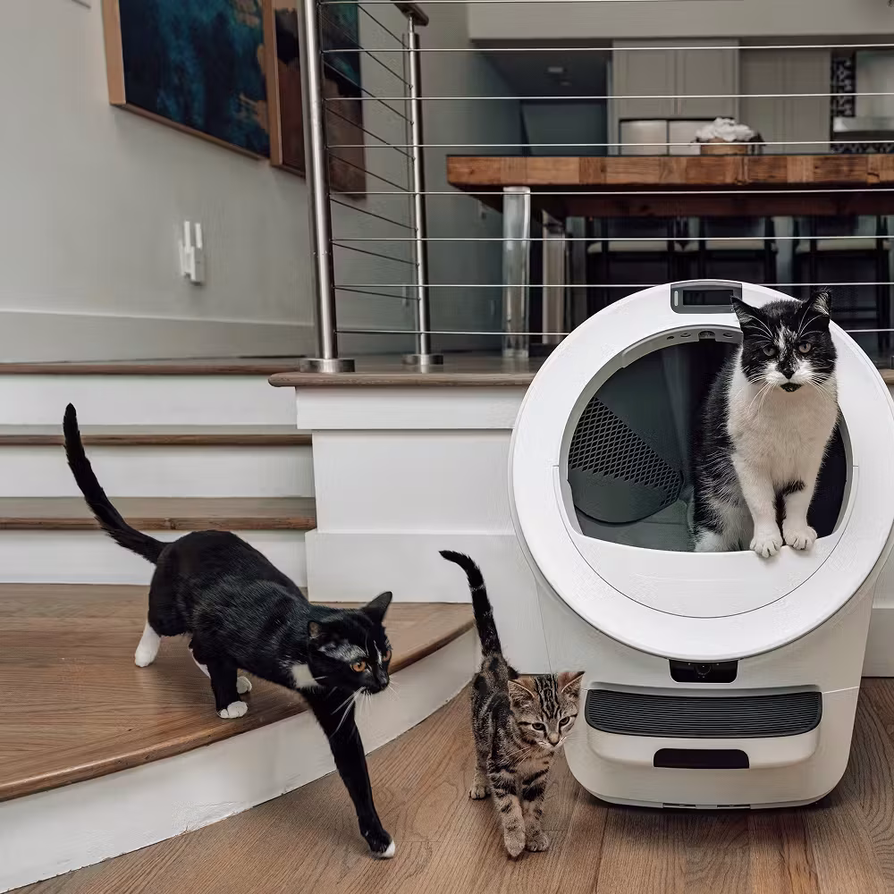 gallery 5pro 1 e1776318835394