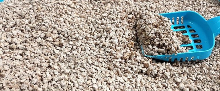9 Best Cat Litter Scoops You Should Have - Top Picks