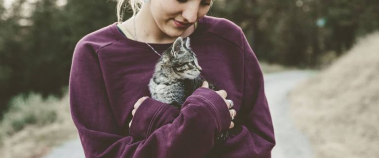 How to Show Your Cat You Love Them: 9 Amazing Ways