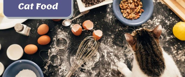 Homemade Cat Food Magic: A Recipe for Happy Paws