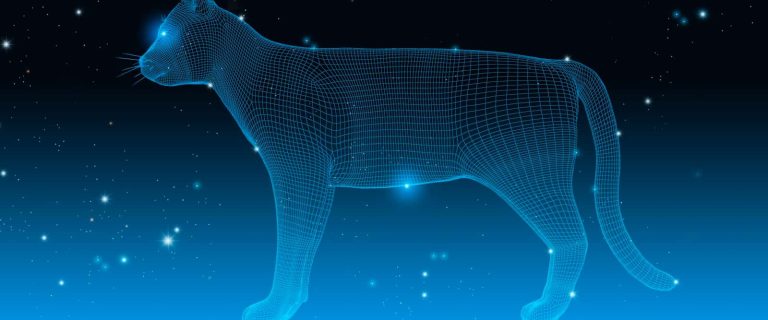 Can you use astrology to pick the perfect cat? While it's not an exact science, pet horoscopes can help you find the right breed for you. Learn how!