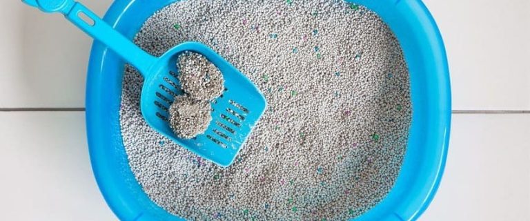 How Much Does Cat Litter Cost? A Complete Guide