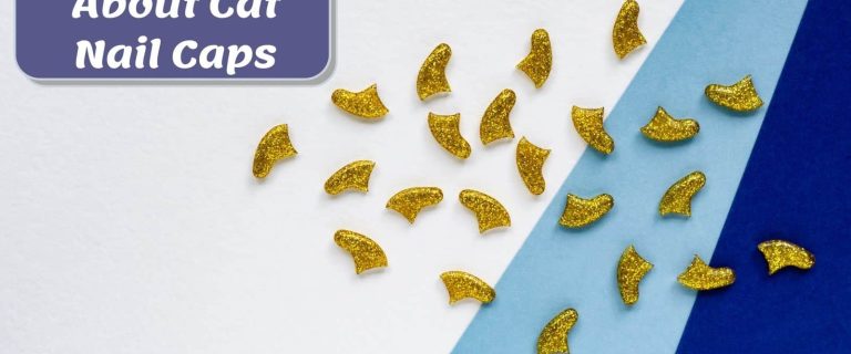 glittery gold cat nail caps