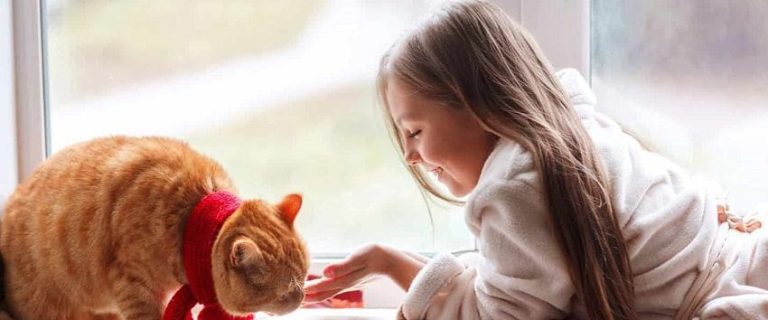 How to Convince Your Parents to Get a Cat: 7 Steps to Take