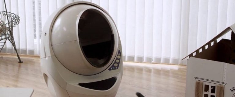 Used Litter-Robot: 7 Ways to Repurpose Your Litter Box